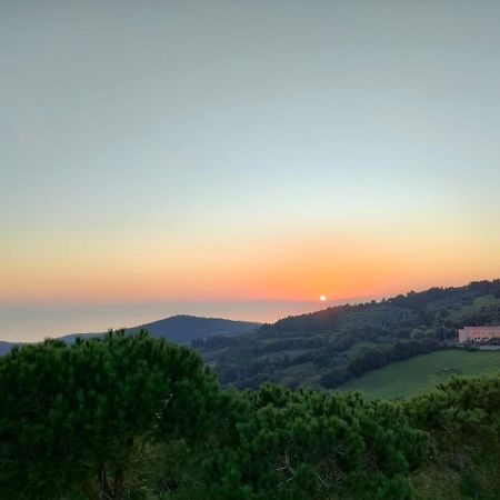 Vista Sulle Isole Dell'Arcipelago Toscano Nibbiaia Номер фото